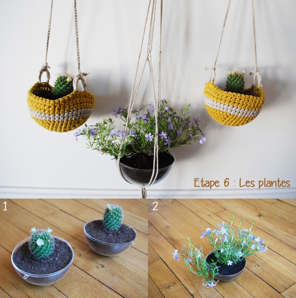 DIY_etape6-plantes