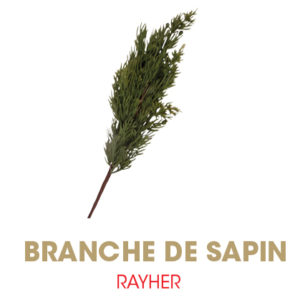 Branches RAYHER