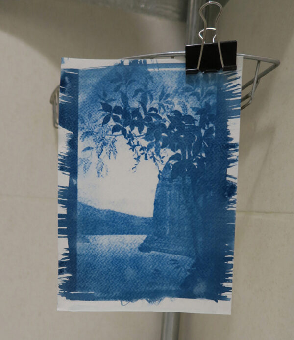 Réaliser un cyanotype nos conseils faciles en 6 étapes La grande maison des arts créatifs