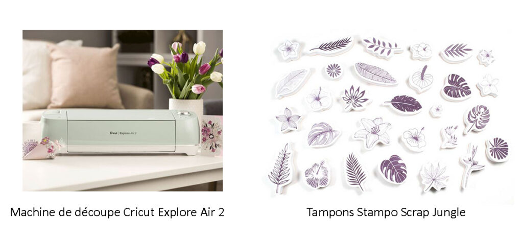 Cricut-Explore-Air-2-et-Tampons-Stampo-Scrap
