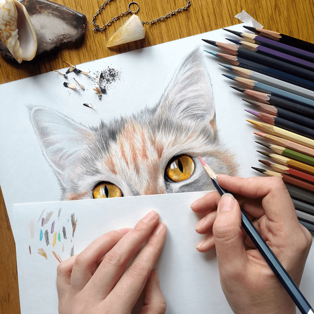 dessin réaliste couleur