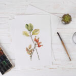 Choisir-pinceau-aquarelle