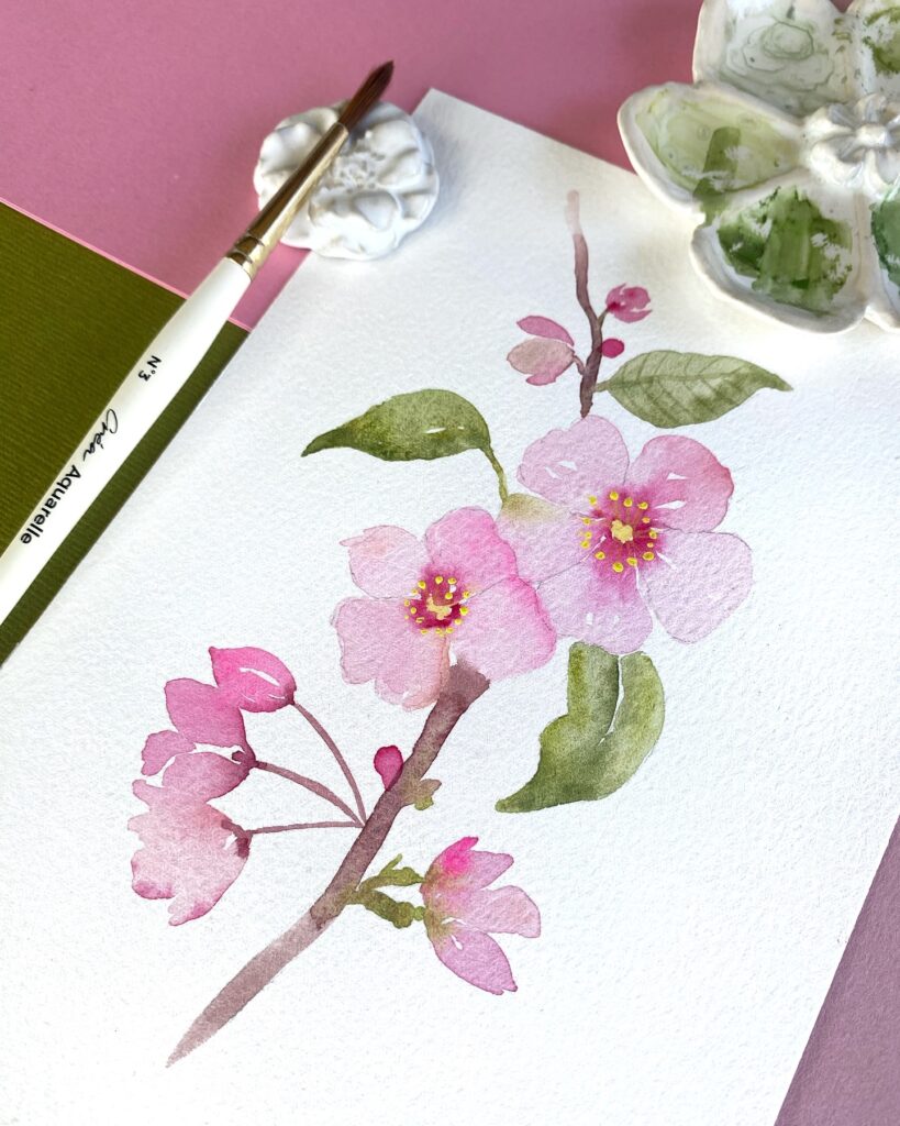 fleur de cerisier