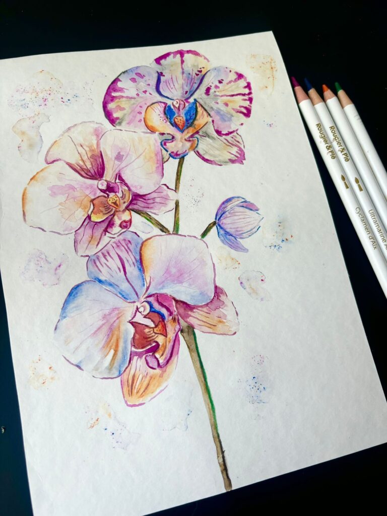 dessin de fleurs : orchidée