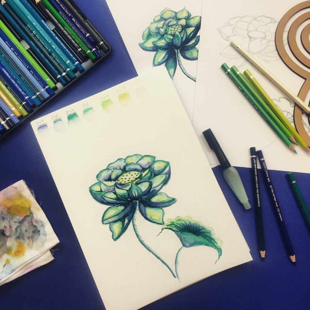 dessin de fleurs : lotus